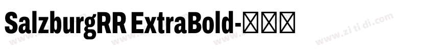 SalzburgRR ExtraBold字体转换